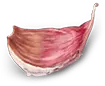 Bowl'd Masala