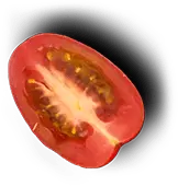 Bowl'd Masala