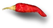 Bowl'd Masala